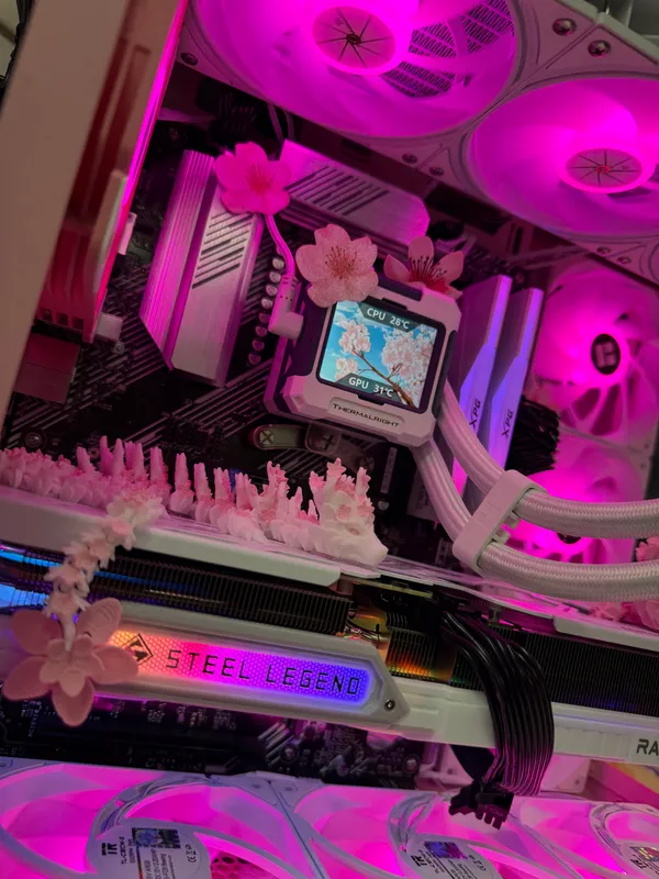 Cherry Blossom